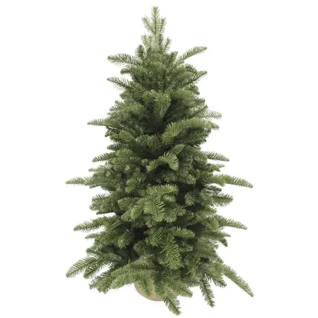 Abies nordmann burlap - afbeelding 1