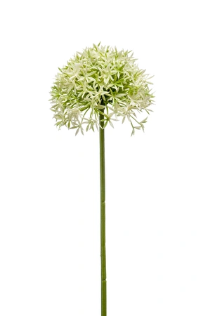 Allium spray 62cm