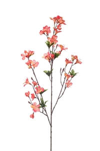 Azalea blossom spray coral 90cm