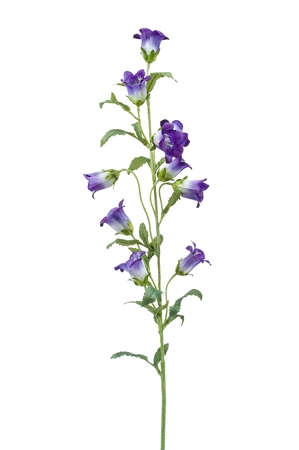 Campanula spray purple 88cm