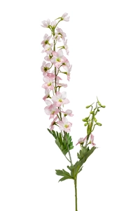 Delphinium spray 77cm