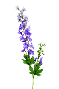 Delphinium spray 77cm