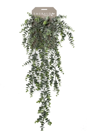 Eucalypthus hanging bush 75cm