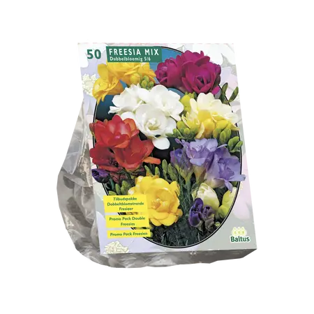 Freesia Double, Mix