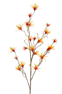 Hamamelis spray orange/yellow 120cm