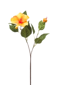 Hibiscus spray yellow/orange 60cm