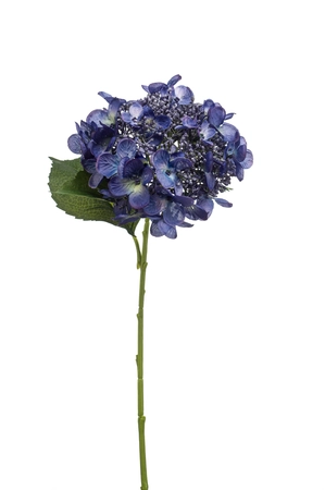 Hydrangea spray 50cm