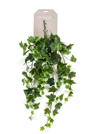 Ivy Hanging Bush 70cm