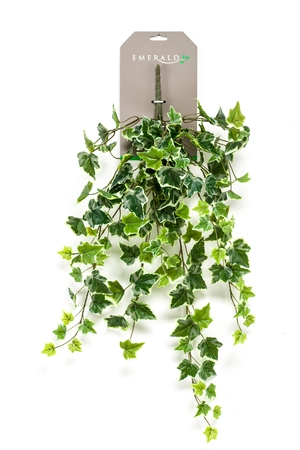 Ivy Hanging Bush 70cm