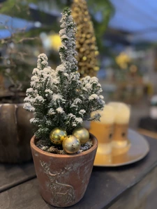 Kerst arrangement