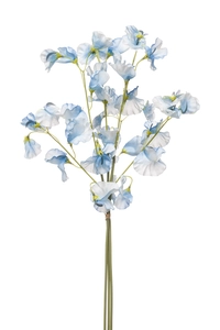 Lathyrus bundle x3 lt blue 58cm