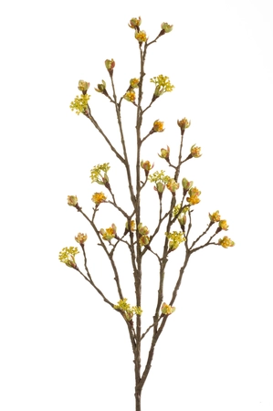 Maple fruit branch yellow 110cm