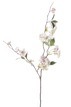 Peach Blossom 80cm