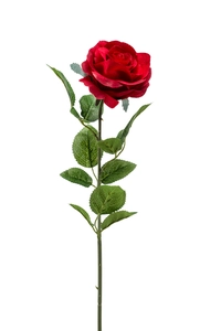 Rose marleen spray red 63cm