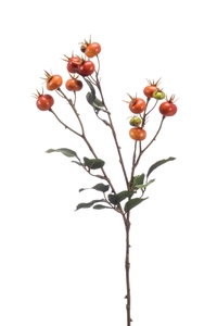 Rosehip spray 65cm orange