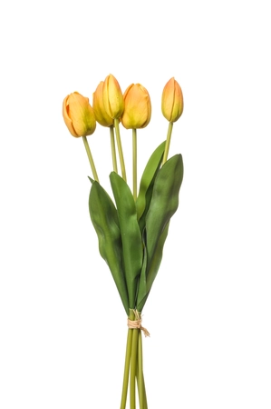 Tulip bundle x5 yellow 50cm