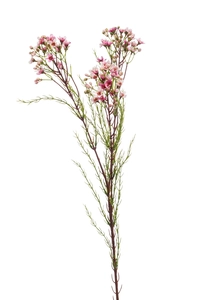 Wax flower spray x3 78cm pink